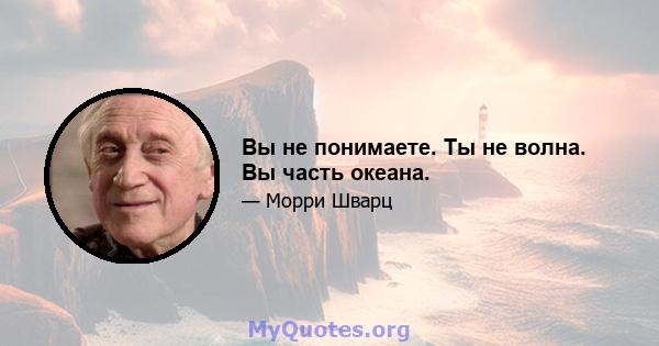 Вы не понимаете. Ты не волна. Вы часть океана.