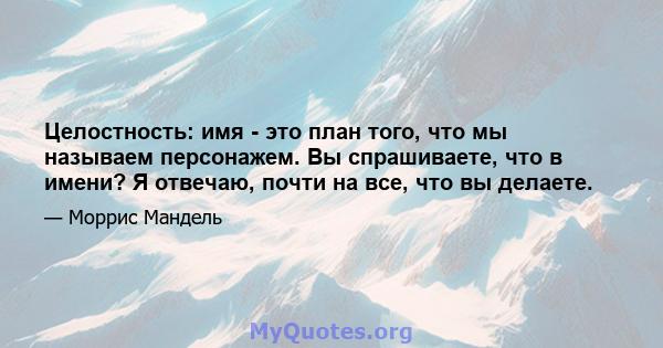 Целостность: имя - это план того, что мы называем персонажем. Вы спрашиваете, что в имени? Я отвечаю, почти на все, что вы делаете.