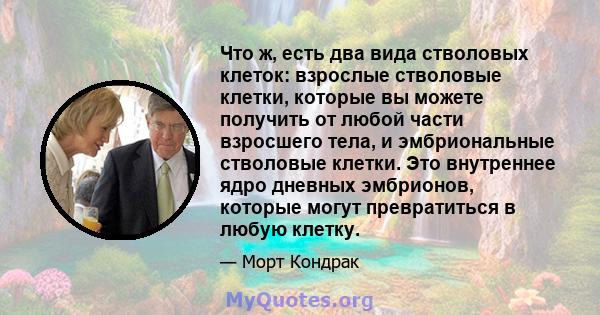 Что ж, есть два вида стволовых клеток: взрослые стволовые клетки, которые вы можете получить от любой части взросшего тела, и эмбриональные стволовые клетки. Это внутреннее ядро ​​дневных эмбрионов, которые могут