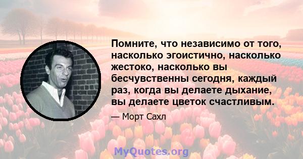 Помните, что независимо от того, насколько эгоистично, насколько жестоко, насколько вы бесчувственны сегодня, каждый раз, когда вы делаете дыхание, вы делаете цветок счастливым.