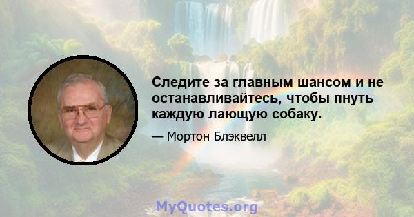 Следите за главным шансом и не останавливайтесь, чтобы пнуть каждую лающую собаку.