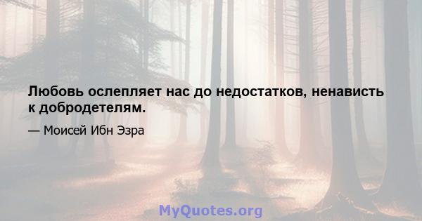 Любовь ослепляет нас до недостатков, ненависть к добродетелям.