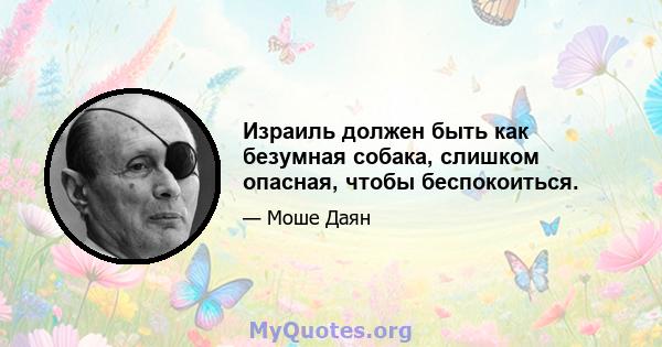 Израиль должен быть как безумная собака, слишком опасная, чтобы беспокоиться.