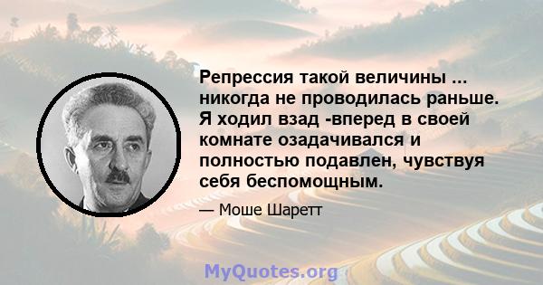 Репрессия такой величины ... никогда не проводилась раньше. Я ходил взад -вперед в своей комнате озадачивался и полностью подавлен, чувствуя себя беспомощным.