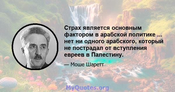 Страх является основным фактором в арабской политике ... нет ни одного арабского, который не пострадал от вступления евреев в Палестину.