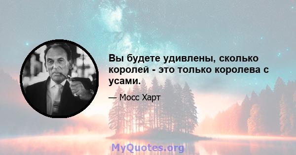 Вы будете удивлены, сколько королей - это только королева с усами.