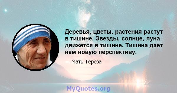 Деревья, цветы, растения растут в тишине. Звезды, солнце, луна движется в тишине. Тишина дает нам новую перспективу.