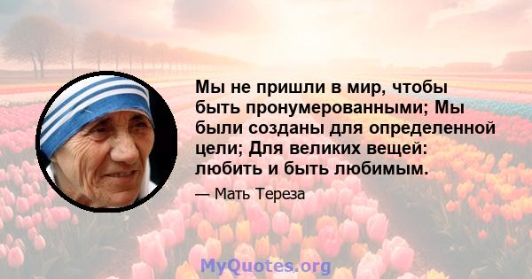 Мы не пришли в мир, чтобы быть пронумерованными; Мы были созданы для определенной цели; Для великих вещей: любить и быть любимым.