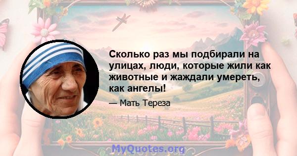 Сколько раз мы подбирали на улицах, люди, которые жили как животные и жаждали умереть, как ангелы!