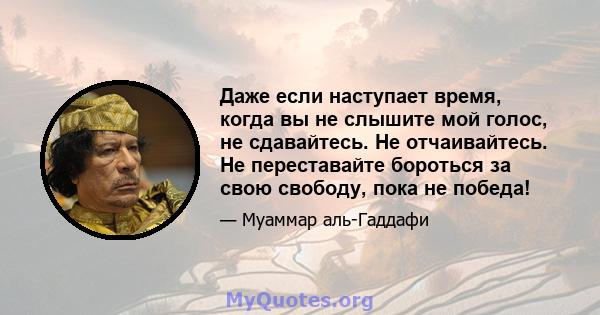 Даже если наступает время, когда вы не слышите мой голос, не сдавайтесь. Не отчаивайтесь. Не переставайте бороться за свою свободу, пока не победа!