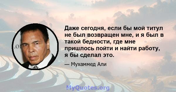 Даже сегодня, если бы мой титул не был возвращен мне, и я был в такой бедности, где мне пришлось пойти и найти работу, я бы сделал это.