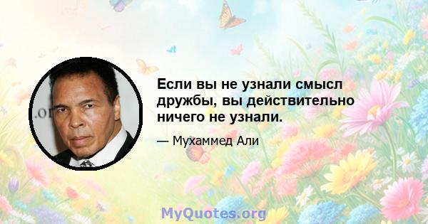 Если вы не узнали смысл дружбы, вы действительно ничего не узнали.