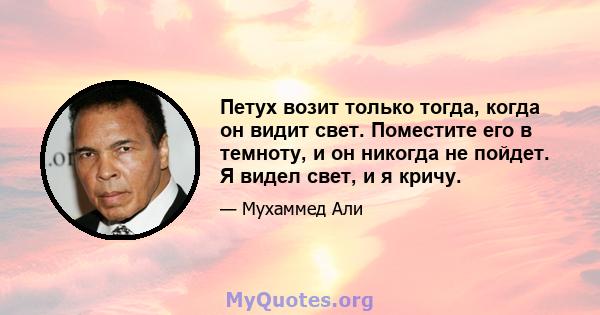 Петух возит только тогда, когда он видит свет. Поместите его в темноту, и он никогда не пойдет. Я видел свет, и я кричу.