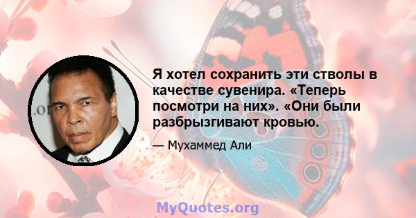 Я хотел сохранить эти стволы в качестве сувенира. «Теперь посмотри на них». «Они были разбрызгивают кровью.