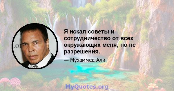 Я искал советы и сотрудничество от всех окружающих меня, но не разрешения.