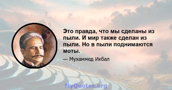 Это правда, что мы сделаны из пыли. И мир также сделан из пыли. Но в пыли поднимаются моты.