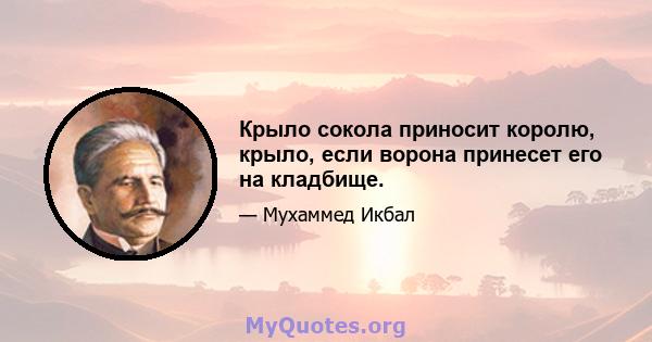 Крыло сокола приносит королю, крыло, если ворона принесет его на кладбище.