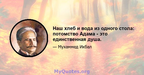 Наш хлеб и вода из одного стола: потомство Адама - это единственная душа.