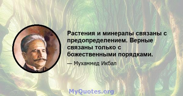 Растения и минералы связаны с предопределением. Верные связаны только с божественными порядками.