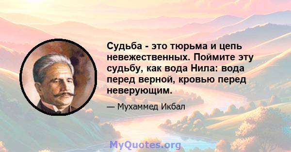 Судьба - это тюрьма и цепь невежественных. Поймите эту судьбу, как вода Нила: вода перед верной, кровью перед неверующим.