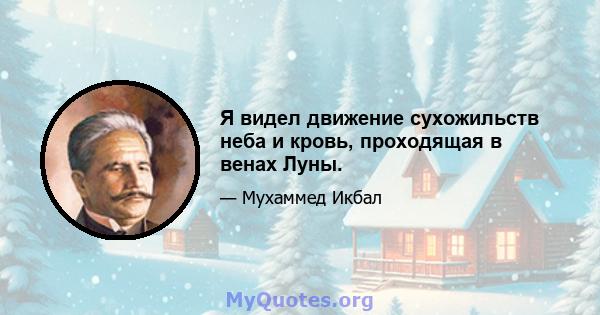 Я видел движение сухожильств неба и кровь, проходящая в венах Луны.