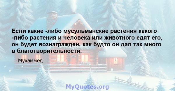 Если какие -либо мусульманские растения какого -либо растения и человека или животного едят его, он будет вознагражден, как будто он дал так много в благотворительности.