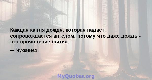 Каждая капля дождя, которая падает, сопровождается ангелом, потому что даже дождь - это проявление бытия.