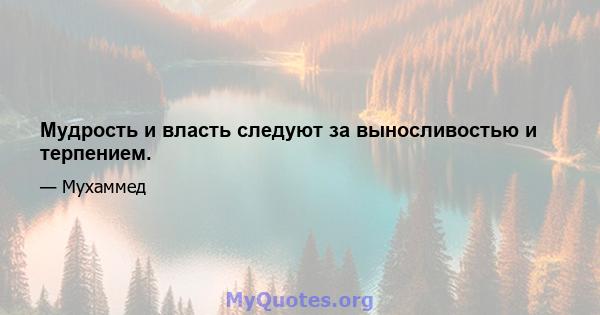 Мудрость и власть следуют за выносливостью и терпением.