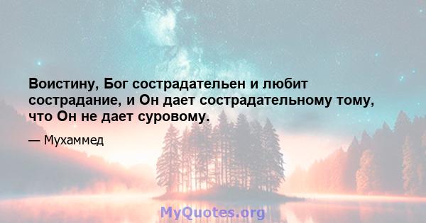 Воистину, Бог сострадательен и любит сострадание, и Он дает сострадательному тому, что Он не дает суровому.