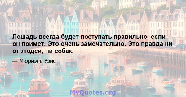 Лошадь всегда будет поступать правильно, если он поймет. Это очень замечательно. Это правда ни от людей, ни собак.