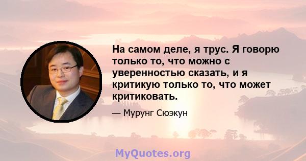 На самом деле, я трус. Я говорю только то, что можно с уверенностью сказать, и я критикую только то, что может критиковать.