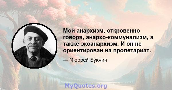 Мой анархизм, откровенно говоря, анархо-коммунализм, а также экоанархизм. И он не ориентирован на пролетариат.