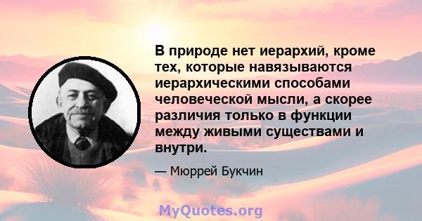 В природе нет иерархий, кроме тех, которые навязываются иерархическими способами человеческой мысли, а скорее различия только в функции между живыми существами и внутри.