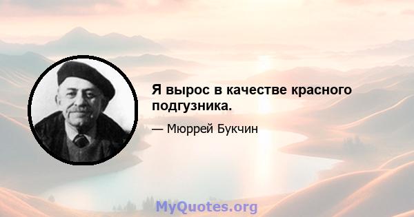 Я вырос в качестве красного подгузника.