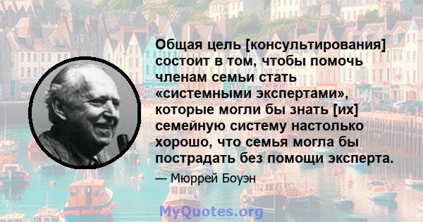 Общая цель [консультирования] состоит в том, чтобы помочь членам семьи стать «системными экспертами», которые могли бы знать [их] семейную систему настолько хорошо, что семья могла бы пострадать без помощи эксперта.