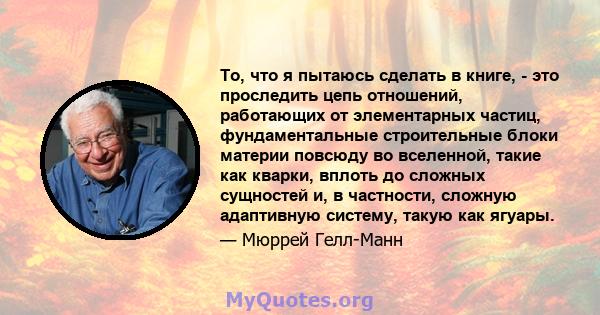 То, что я пытаюсь сделать в книге, - это проследить цепь отношений, работающих от элементарных частиц, фундаментальные строительные блоки материи повсюду во вселенной, такие как кварки, вплоть до сложных сущностей и, в