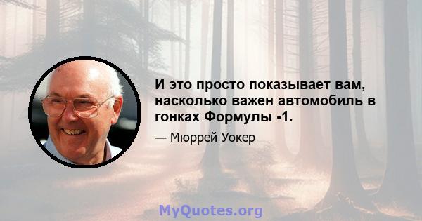 И это просто показывает вам, насколько важен автомобиль в гонках Формулы -1.