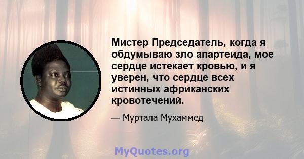 Мистер Председатель, когда я обдумываю зло апартеида, мое сердце истекает кровью, и я уверен, что сердце всех истинных африканских кровотечений.