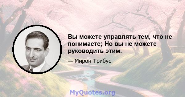 Вы можете управлять тем, что не понимаете; Но вы не можете руководить этим.