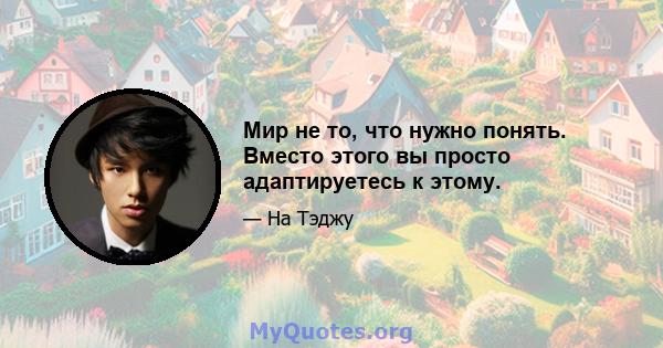 Мир не то, что нужно понять. Вместо этого вы просто адаптируетесь к этому.