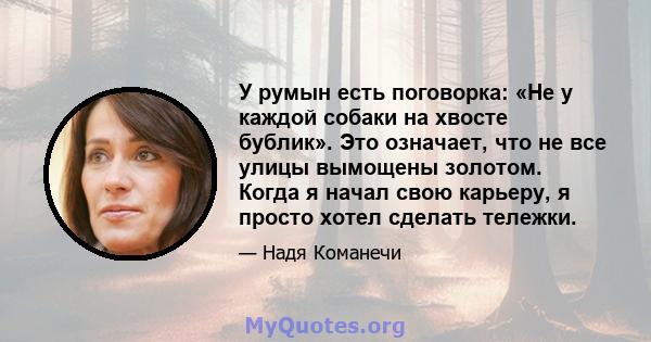 У румын есть поговорка: «Не у каждой собаки на хвосте бублик». Это означает, что не все улицы вымощены золотом. Когда я начал свою карьеру, я просто хотел сделать тележки.