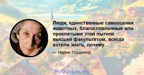 Люди, единственные самооценки животных, благословленные или проклятыми этой пыткой высшей факультетом, всегда хотели знать, почему.