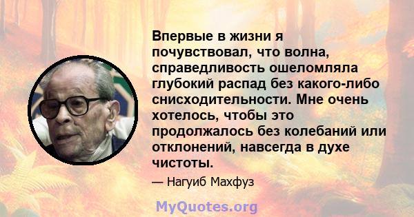 Впервые в жизни я почувствовал, что волна, справедливость ошеломляла глубокий распад без какого-либо снисходительности. Мне очень хотелось, чтобы это продолжалось без колебаний или отклонений, навсегда в духе чистоты.