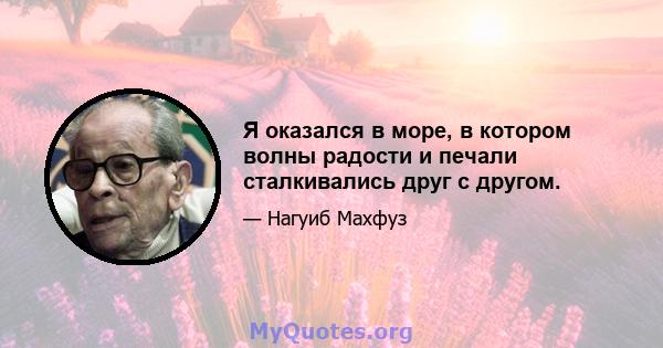 Я оказался в море, в котором волны радости и печали сталкивались друг с другом.