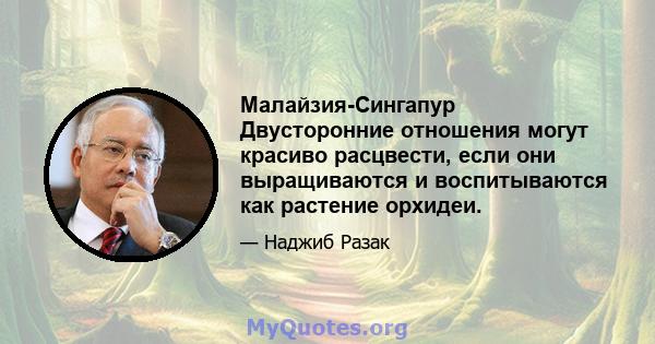 Малайзия-Сингапур Двусторонние отношения могут красиво расцвести, если они выращиваются и воспитываются как растение орхидеи.