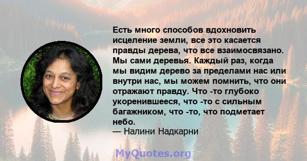 Есть много способов вдохновить исцеление земли, все это касается правды дерева, что все взаимосвязано. Мы сами деревья. Каждый раз, когда мы видим дерево за пределами нас или внутри нас, мы можем помнить, что они