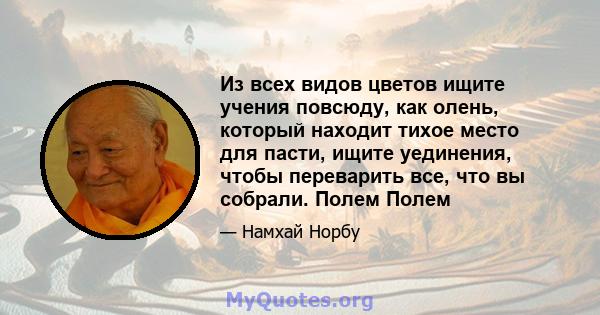 Из всех видов цветов ищите учения повсюду, как олень, который находит тихое место для пасти, ищите уединения, чтобы переварить все, что вы собрали. Полем Полем