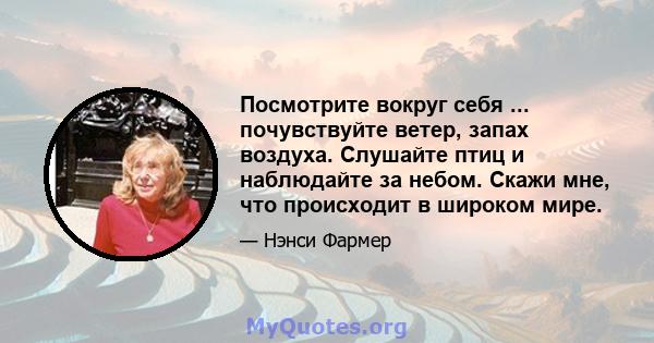 Посмотрите вокруг себя ... почувствуйте ветер, запах воздуха. Слушайте птиц и наблюдайте за небом. Скажи мне, что происходит в широком мире.