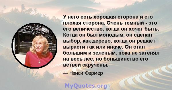 У него есть хорошая сторона и его плохая сторона. Очень темный - это его величество, когда он хочет быть. Когда он был молодым, он сделал выбор, как дерево, когда он решает вырасти так или иначе. Он стал большим и