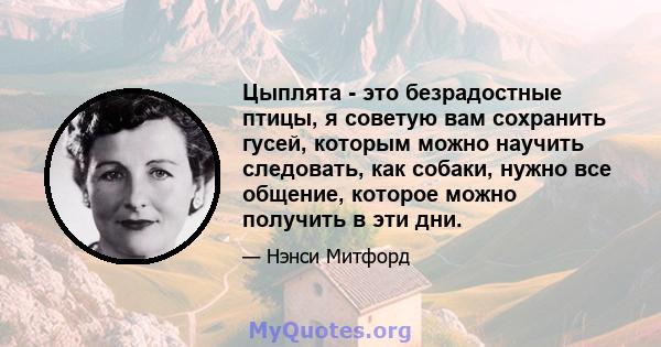 Цыплята - это безрадостные птицы, я советую вам сохранить гусей, которым можно научить следовать, как собаки, нужно все общение, которое можно получить в эти дни.